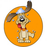 dog-grooming-tips