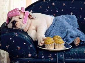 spoiled1